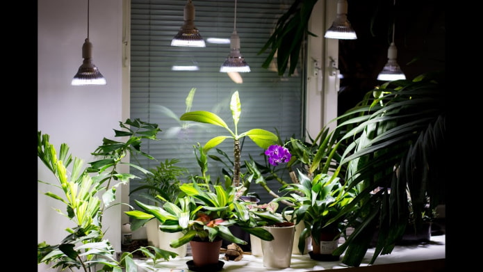 Подсветка для растений